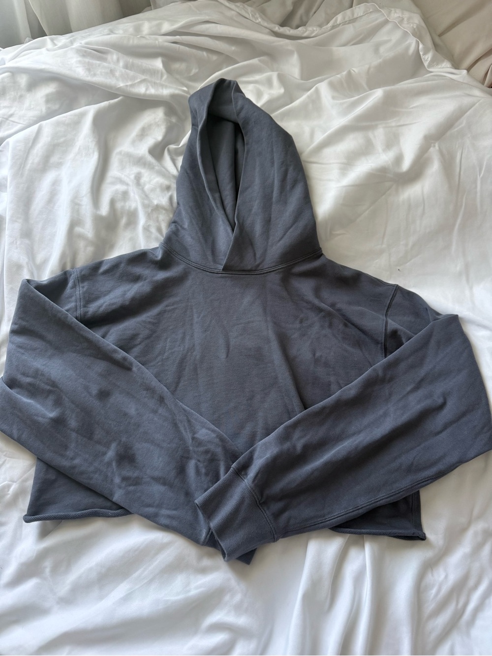 Aritzia vintage navy Cropped Hoodie